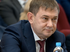 Владимира Нетесова за минуту лишили статуса депутата Воронежской облдумы 