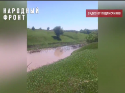 В грязную розовую жижу превратилась река в Воронежской области
