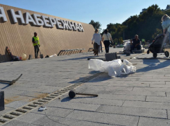 Для второй очереди Петровской набережной в Воронеже нужно срубить 199 деревьев 