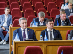 Закон о поддержке беременных с редким заболеванием приняла Воронежская облдума
