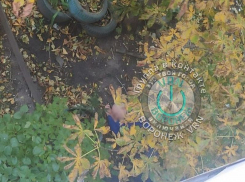 Сообщается о падении из окна многоэтажного дома 80-летнего пенсионера в Воронеже