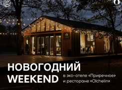 Их осталось только три: необычное предложение для тех, кто еще не решил, как отмечать Новый год