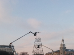  Главную новогоднюю ёлку в Воронеже установят к 18 декабря 