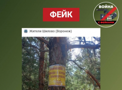 Фейк о заминированных дорогах к аэродрому разоблачили в Воронеже