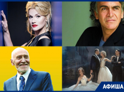 Куда сходить в Воронеже: Ирина Круг, Николай Дроздов, Риккардо Фольи 