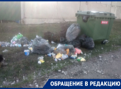 Мусор валяется раз, мусор валяется два: воронежец пристыдил компанию, отвечающую за коммунальные отходы 