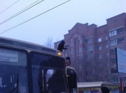 В Воронеже кот-экстремал катался на крыше маршрутки