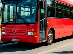 Подростки распылили перцовку в переполненном автобусе в Воронеже