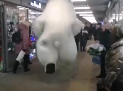 Белый мишка устроил сумасшедший рейв в переходе у воронежского цирка