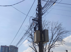 Вьющиеся «красоты» центра Воронежа показала на фото недовольная видами горожанка 