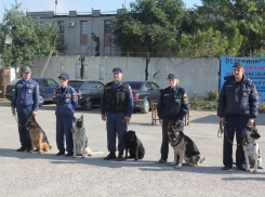 Воронежские спасатели и их хвостатые друзья соревновались