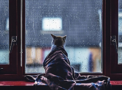 Ныряющий циклон ударит по Воронежу порывистым ветром и дождем