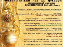 Воронежские зоозащитники устроят акцию «Подарок под лапу»