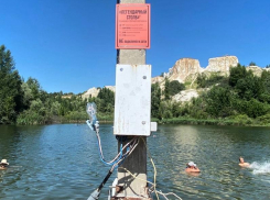 Юмористической таблички удостоили легендарный столб на воронежском пляже