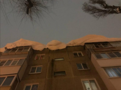 «По телефону хамят, а при личном посещении грубят», – воронежцы рассказали о халатности управляющей компании