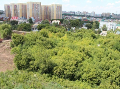 От “Динамо” потихоньку “откусывают” кусочки