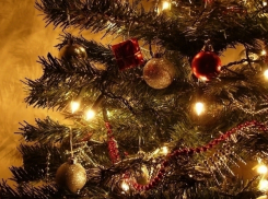 Выбираем искусственную елку на Новый год