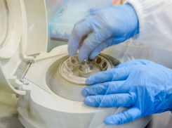 Гражданин Азербайджана с диагнозом COVID-19 скончался в Воронежской области 