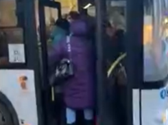 Воронежцы продолжают погружаться на дно маршруточного ада