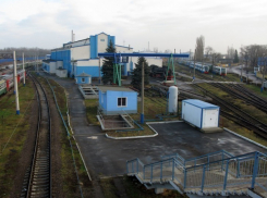 В Отрожке двое подростков чуть не пустили поезд под откос