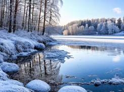 Февральский погодный реванш задержится в Воронежской области