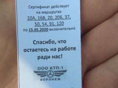 Воронежским медикам подарили бесплатный проезд, но не во всех маршрутках