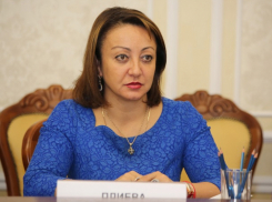 Прекращено уголовное дело в отношении бывшего скандального вице-мэра Воронежа Плиевой 