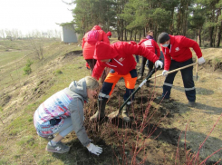 Волонтеры «РВК-Воронеж» удостоены благодарности Центра экологической политики