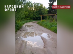 Грязюка и лужи: жители Воронежской области мечтают об асфальте