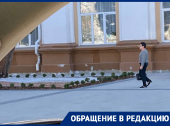 У воронежской библиотеки высадили мопсов 