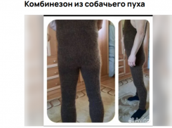 Зимний вариант: комбинезон из собачьего пуха продают за большие деньги в Воронеже