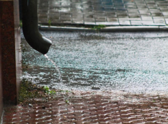 Самым настоящим дождем встретит воронежцев конец рабочей недели