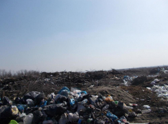 В Воронежской области выросла стихийная свалка в 73 тыс м2