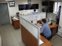 В Воронеже у местного жителя нашли несколько кустов конопли