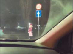 «Дикого» Дедушку Мороза заметили на воронежской улочке