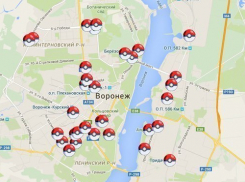 Воронеж вошел в топ-городов среди сумасшедших фанатов Pokemon Go 