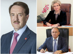 «Савицкая и Астанин – звенья цепочки, которую Гордеев потянул только вслед за воронежским УБЭП»