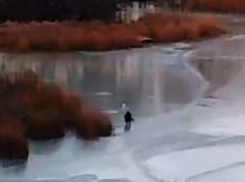 Первый рыбак-камикадзе на Воронежском водохранилище попал на видео