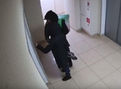 Гнусный поступок курьеров доставки записала камера видеонаблюдения в Воронеже