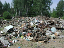 В Воронежской области нашли очередную незаконную свалку