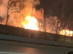 Вспыхнувший пожар на левом берегу Воронежа прокомментировали в МЧС