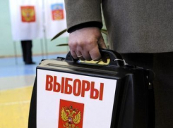 В Воронежской области обкатывают законодательную схему отмены муниципальных выборов