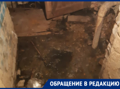 Зловонный подвал и цинизм УК: как воронежцы выживают в антисанитарии рядом с губернатором