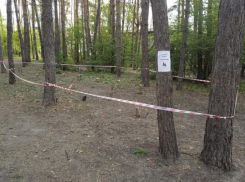 Необычный повод для оцепления территории показали на фото в Воронеже