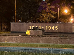 Неадекват сжёг цветы на Вечном огне у памятника Славы в Воронеже 