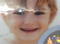 Появились новые подробности похищения 7-летней девочки в Воронеже