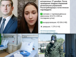 Коронавирус в Воронеже 27 декабря: +390 инфицированных и двойное продолжение истории с погибшей бабушкой
