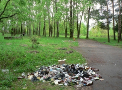 «Это или тайная игра, или мэр не знает, что происходит в Воронеже с уборкой мусора»