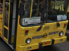 Как правительство Алексея Гордеева отказалось от бесплатного «Народного маршрута» в Воронеже 