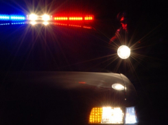 В Железнодорожном районе при столкновении китайской иномарки с деревом пострадали четверо